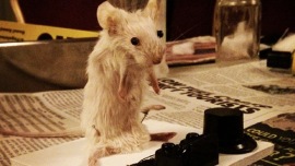 Mouse_RESIZE
